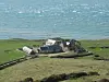 Knowles Farm from the north © SA Mathieson