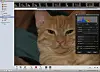 Apple iPhoto gets in your face