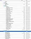 Screenshot of leaked Aeroflot files