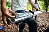 Singapore extends tracking to an internet of trees