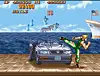 Streetfighter 2: The World Warrior