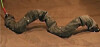 ROBOT TROUSER SNAKE stiffens to master slippery mounds