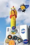 Brit knits jumper for NASA space chicken