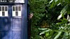 Doctor Who In the Forest of the Night