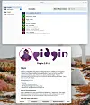 Remember Pidgin, formerly GAIM? It's coming back