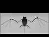 'Metal muscle' memory-alloy robot flapper bat shown off