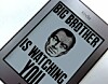Kindle Big Brother