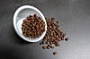 Java 27 Boosts GC, Header Sizes, and Quantum Security