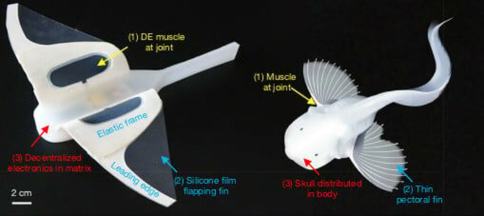 Snail Shell Robot Soft-shell robot uses snailfish features to sail though Mariana Trench ...
