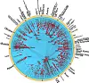 'Hyperbolic map' of the internet will save it from COLLAPSE