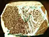 MIT boffins demonstrate NEW form of magnetism