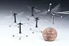 Tiny fly-inspired RoboBee takes flight at Harvard