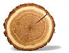 Ancient radioactive tree rings could rip up the history books