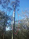 Crack Telstra Cabling SquadTM goes all Tarzan to restore internet