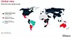 Satellite phone service could soon become the norm