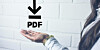 Someone holding a PDF logo