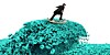 Surfing the AI data and money wave