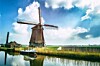 dutch