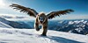 Flying Yeti