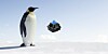 Penguin with Cherry MX Blue keyboard switch