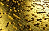 hive