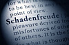 Dictionary definition of the word schadenfreude