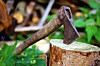 axe buried in tree stump CC0