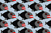 Piranha fish pattern illustration