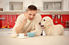 Man and dog eat dog food. pic by shutterstock