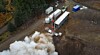 Skyrora wins green light to lob rockets from Scotland