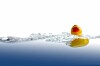 Rubber duck (classic, yellow) floats on water. Photo by shutterstock