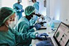lab biologists