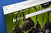 bing search