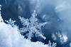Digital composite of snowflakes and frost