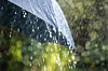 rain on an umbrella