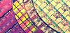 A selection of silicon wafers