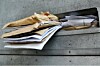 letters stuffed in a mailbox. Photo by SHutterstock