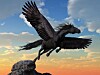 pegasus