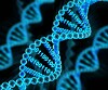 DNA