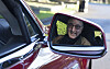 Tesla simon mirror S P85