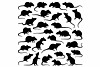 Rat sillhouettes - Shutterstock