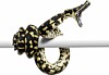 Python attacking