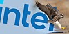 Combination of the Intel logo and a falcon landing over a shore's edge