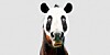 Horse with panda head