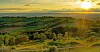 Gloucestershire