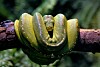 Vulnerable Rust crate exposes uv Python packager