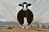 The Spherical Cow lands, spits out Anaconda