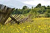 Shutterstock image of a broken fence