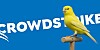 Illustration of a canary bird in front of the CrowdStrike logo