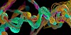 protein_3D